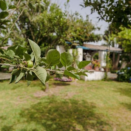 Вілла Le Querce Прочида Екстер'єр фото